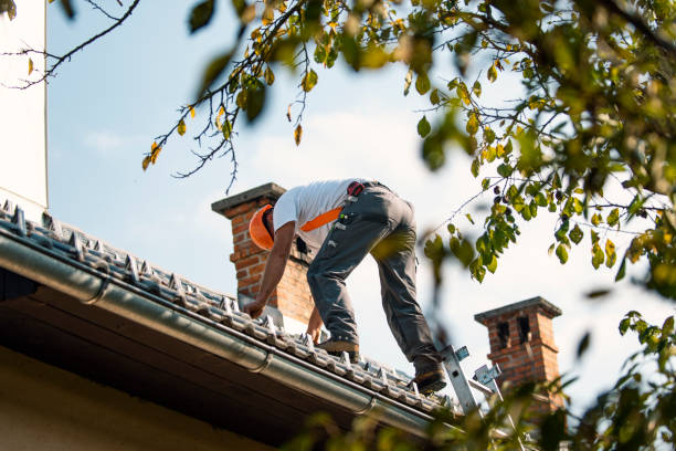 Best Commercial Roofing Services  in Miller, SD